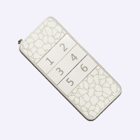 ZY100-6 中功率遙控器